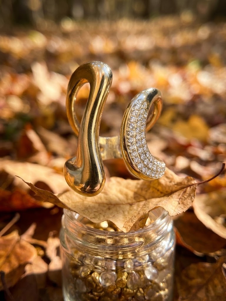 Anillo Poesía